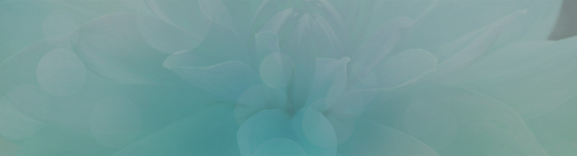 Numerology 数秘術