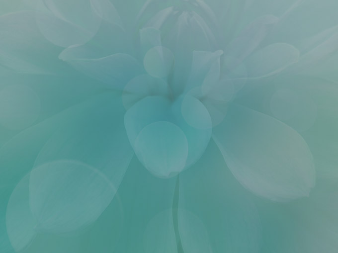 Numerology 数秘術